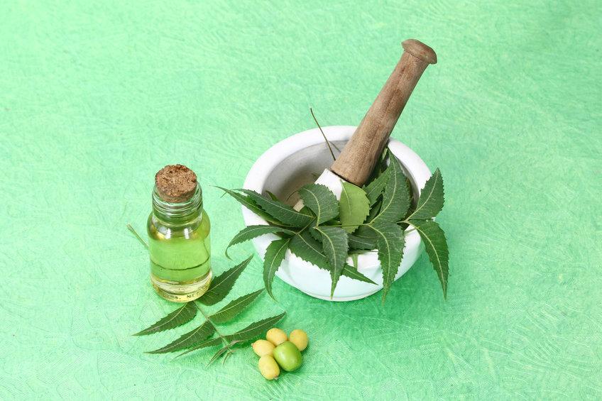 Olio di neem, proprietà e benefici