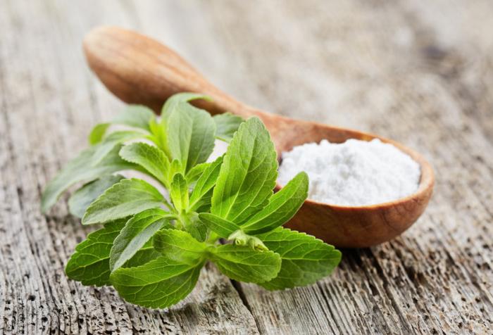 Stevia, proprietà, uso e controindicazioni 