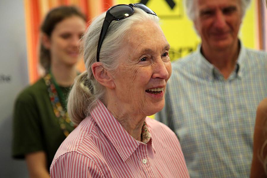 jane-goodall