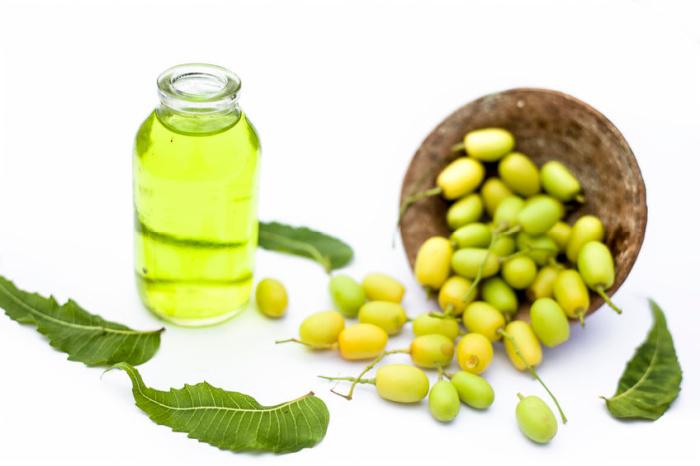 Olio di neem un prodotto da tenere sempre in casa 