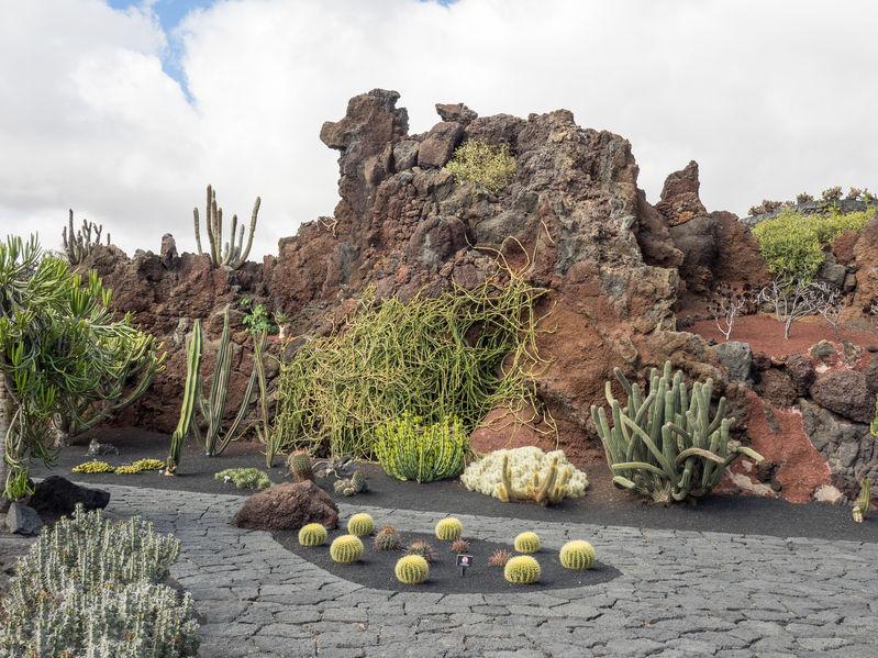 lanzarote-cactus-jardin