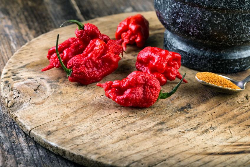 peperoncino-carolina-reaper