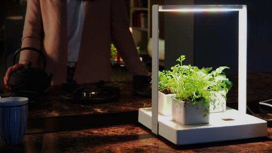 orto-in-casa-regalo-natale-kigarden