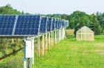 Agrivoltaico, il via libera in Puglia tra le polemiche