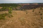 Amazzonia, i pericoli oltre i fuochi dolosi