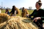 Milano Chiaravalle: nuova vita ai terreni grazie all'agroforestazione