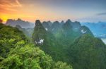 Una nuova foresta in Cina 