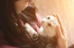 Gattoterapia: i 5 motivi per avere un gatto