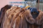 Una petizione per mettere al bando le pellicce in UK