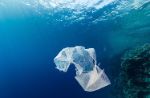 Basta scaricare plastica negli oceani: la petizione del WWF