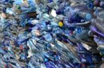 Dove va a finire la plastica?