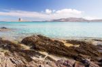 La Pelosa, la meravigliosa spiaggia di Stintino