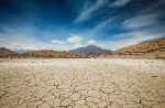 Gestire il suolo contro l'emergenza climatica