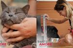 That's amore, il docureality sugli animali