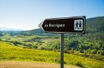 Via Francigena: il percorso e le tappe
