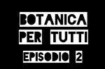 Botanica per tutti: le piante sono un'immensa risorsa