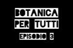 Botanica per tutti: etnobotanica