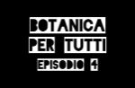 Botanica per tutti: assomigliare ad una pianta