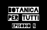 Botanica per tutti: salviamo la biodiversità