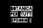 Botanica per tutti: piante e sopravvivenza