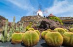 Jardin de cactus: una delle bellezze di Lanzarote