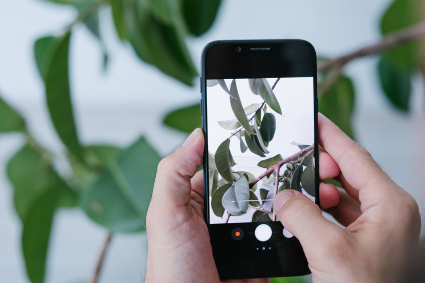 App Per Riconoscere Le Canzoni Salvatore Aranzulla App Per Riconoscere Le Canzoni Salvatore Aranzulla