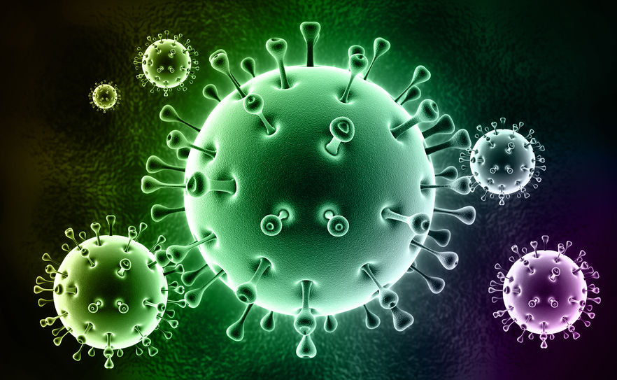 Résultat de recherche d'images pour "coronavirus"